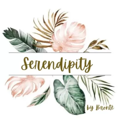 register your company with CIPC, BBBEE, CSD and create a company profile 